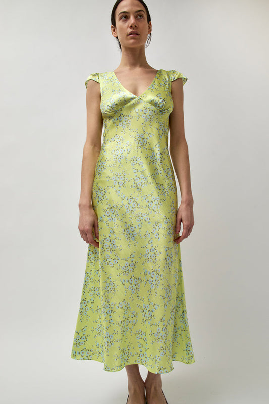 Naya Rea Tiziana Dress in Yellow Floral Print